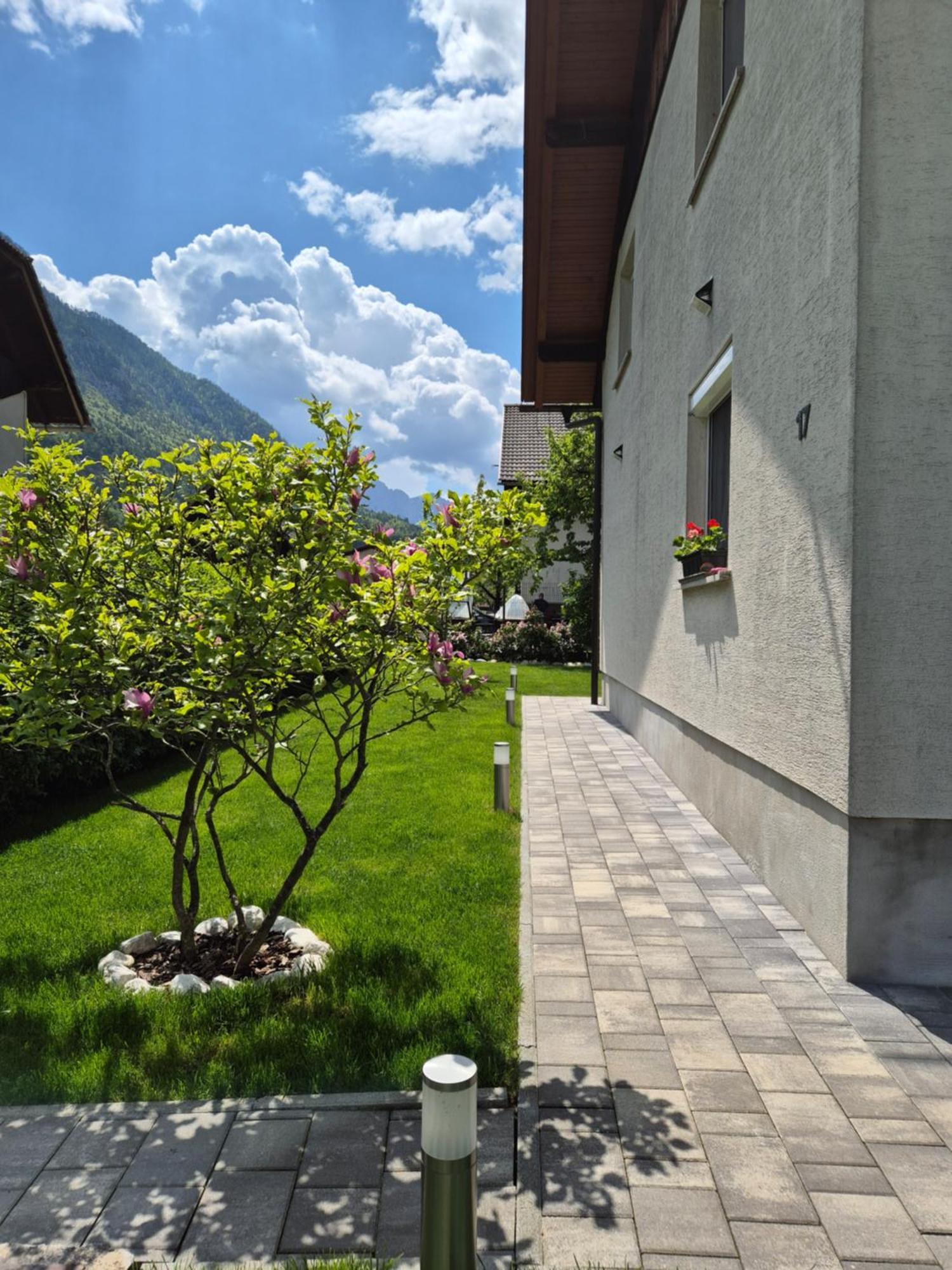 Apartment Petra Mojstrana Kültér fotó